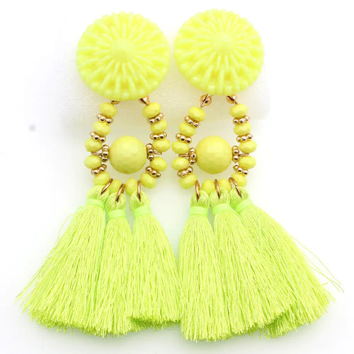 Chic Tassel Dangle Earrings