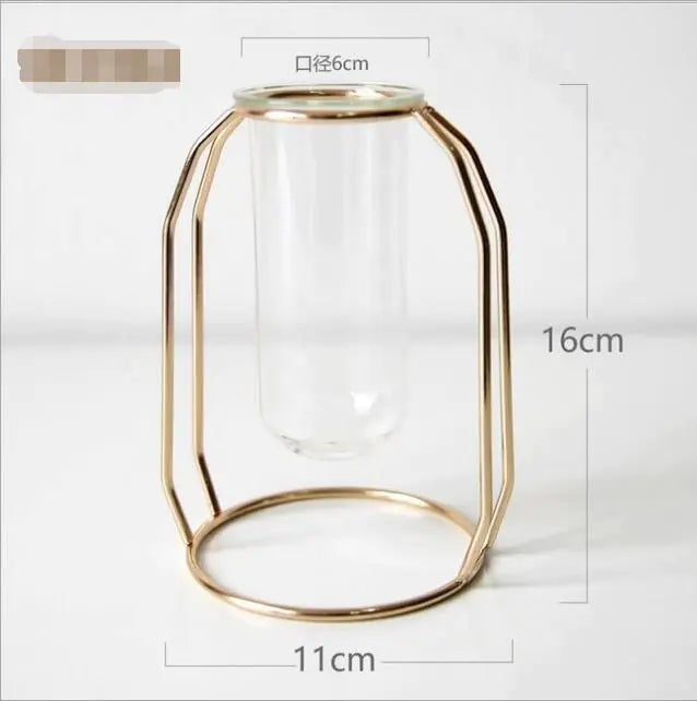 Elegant Glass Tube Flower Holder
