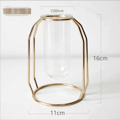 Elegant Glass Tube Flower Holder
