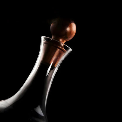 Elegant Wine Aerator