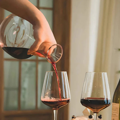 Elegant Wine Aerator