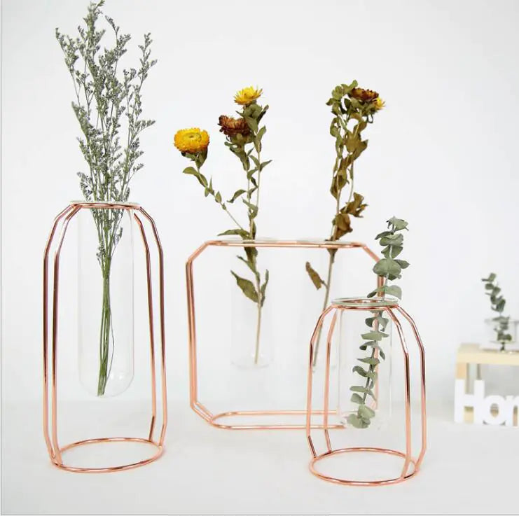 Elegant Glass Tube Flower Holder