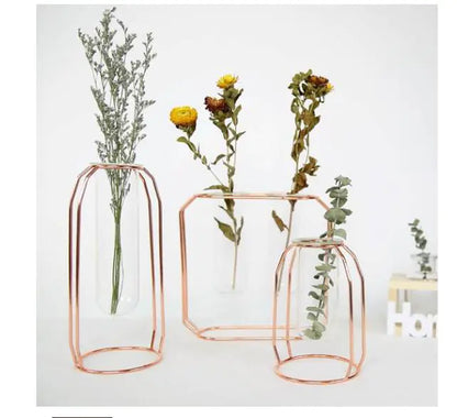 Elegant Glass Tube Flower Holder