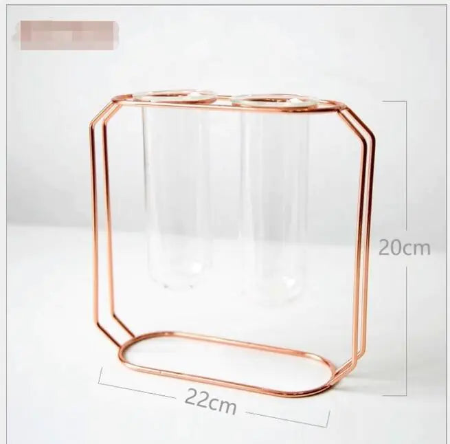 Elegant Glass Tube Flower Holder