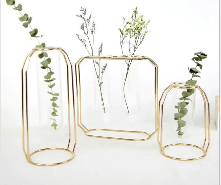 Elegant Glass Tube Flower Holder