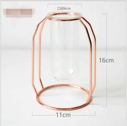 Elegant Glass Tube Flower Holder