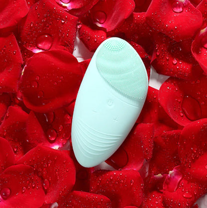 UltraCleanse Electric Silicone Facial Brush