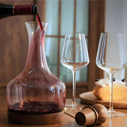 Elegant Wine Aerator
