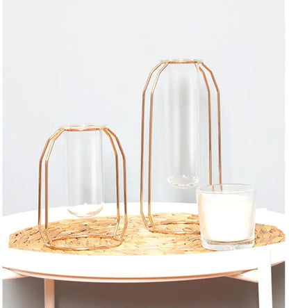 Elegant Glass Tube Flower Holder
