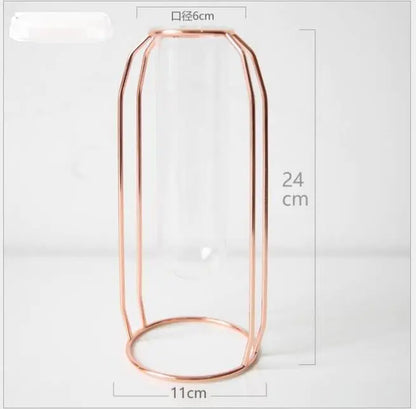 Elegant Glass Tube Flower Holder
