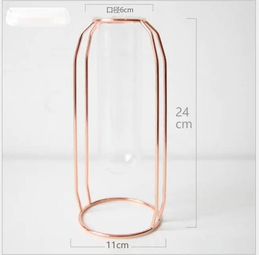 Elegant Glass Tube Flower Holder