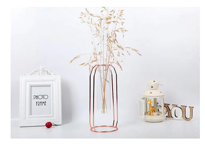 Elegant Glass Tube Flower Holder
